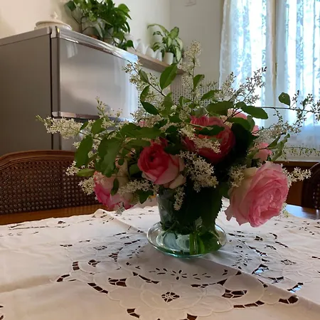 Palazzo Venieri Διαμέρισμα Lugo (Ravenna)