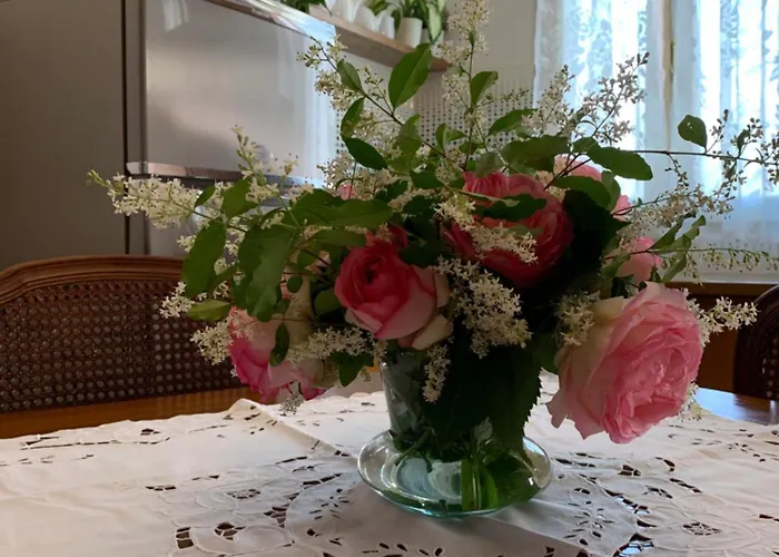 Palazzo Venieri Daire Lugo (Ravenna)